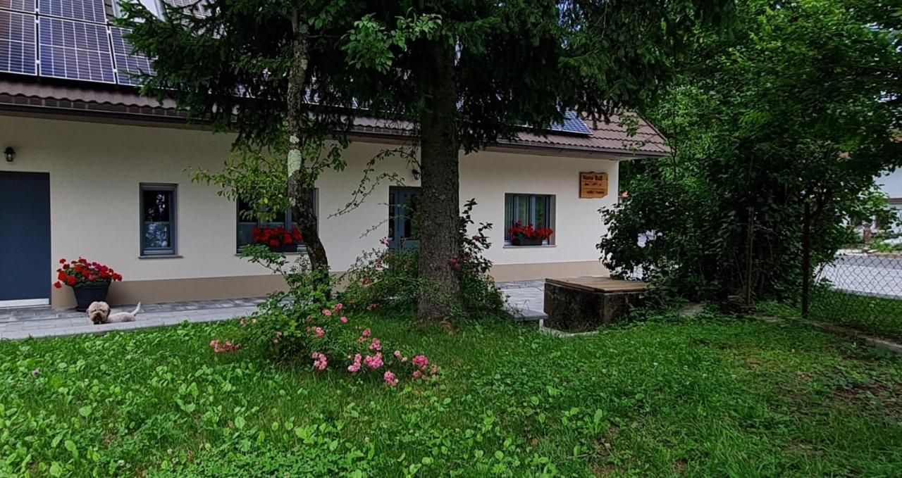 Nona Bb Bed & Breakfast Postojna Bagian luar foto
