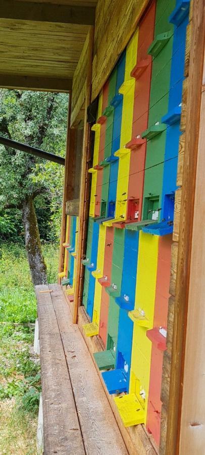 Nona Bb Bed & Breakfast Postojna Bagian luar foto