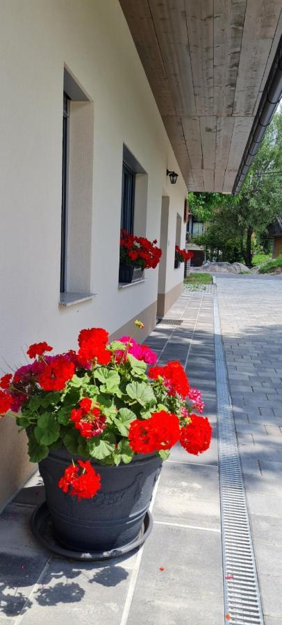 Nona Bb Bed & Breakfast Postojna Bagian luar foto